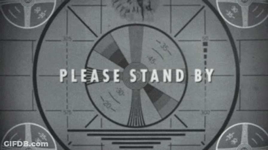 Please Stand By Fallout 76 GIF