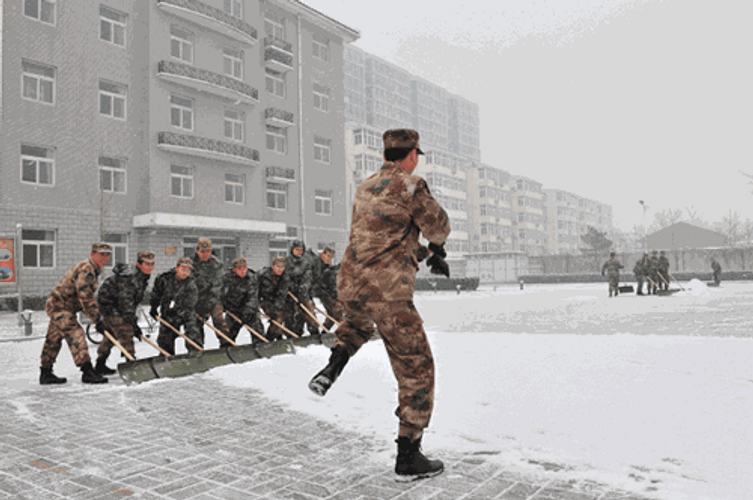 Plowing Under Snowing Condition GIF