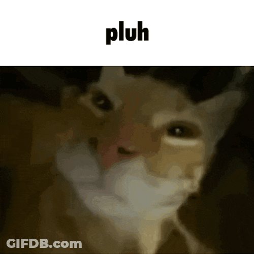 Pluh Cat GIF