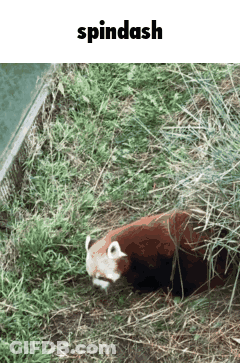Plus In Red And White GIF