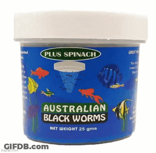 Plus Spinach Australian Black Worms 25G GIF