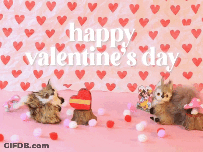 Plush Squirrel Happy Valentine's Day GIF