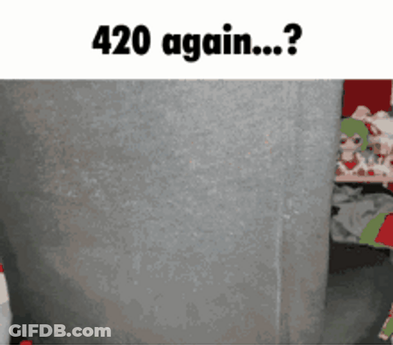 Plush Toy Cirno Bucket Over Head 420 Again GIF