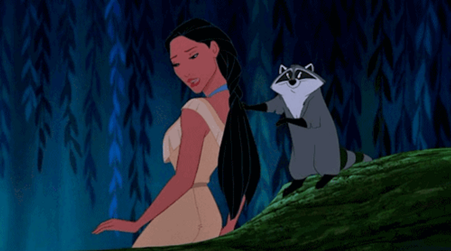 Pocahontas And Meeko Friendship GIF