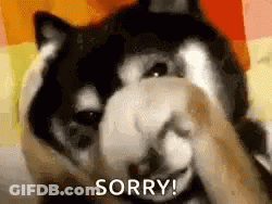 Pocahontas Cartoon With Todo Ok Maricarmen GIF