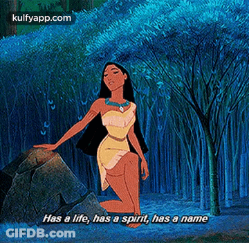 Pocahontas Kneeling On Rock Saying Has A Life Has A Spirit Has A Name GIF