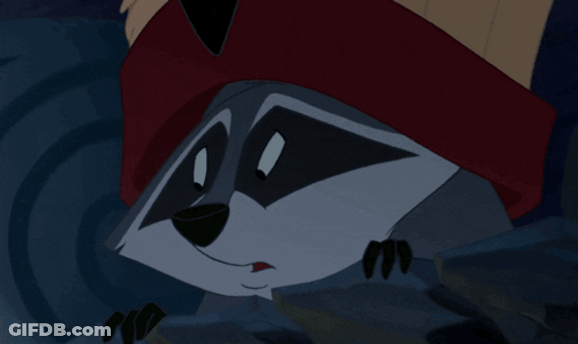 Pocahontas Meeko Disgusting Reaction GIF