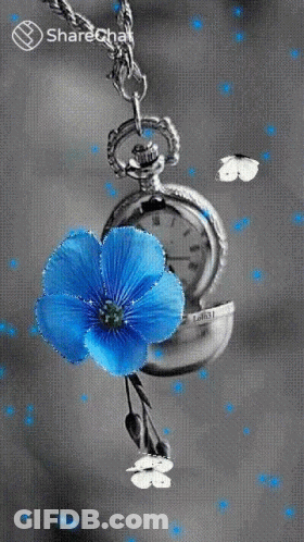 Pocket Watch And Blue Flower GIF