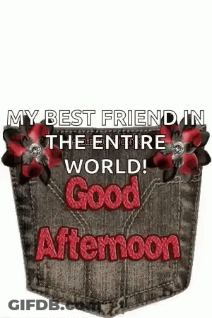 Pocket With Flowers Saying My Best Friend In The Entire World Good Afternoon GIF