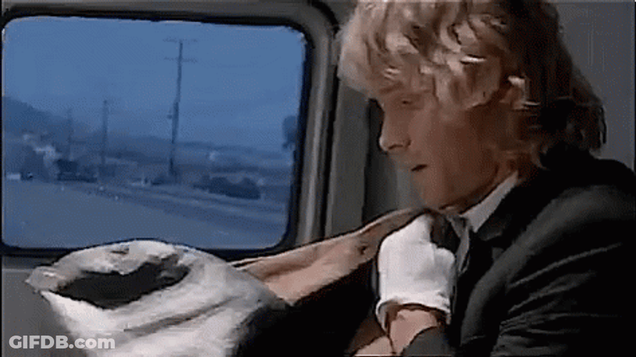 Point Break I'm Ready GIF