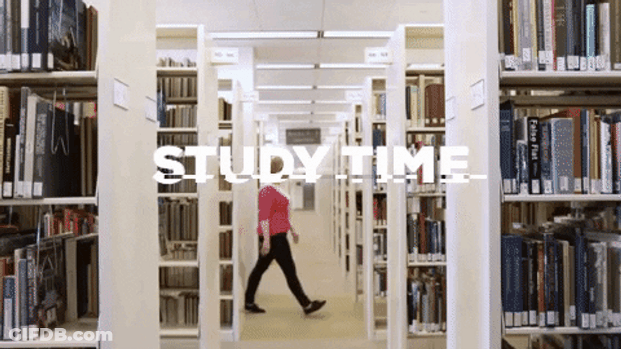 Point Of View Study Time At Library GIF