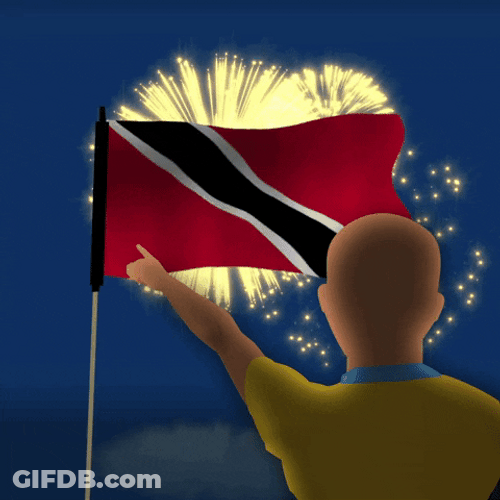 Pointing Trinidad And Tobago Flag GIF