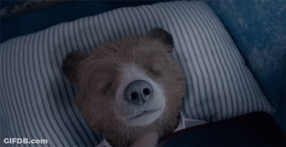 Poke The Bear GIF