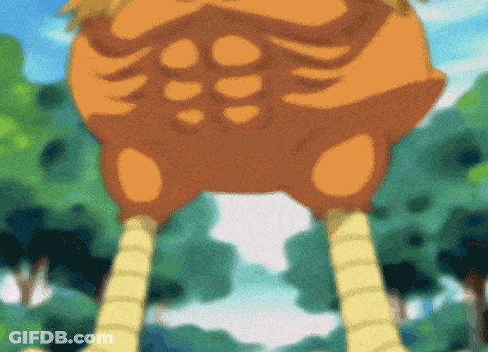 Pokemon Buff Torchic Meme GIF