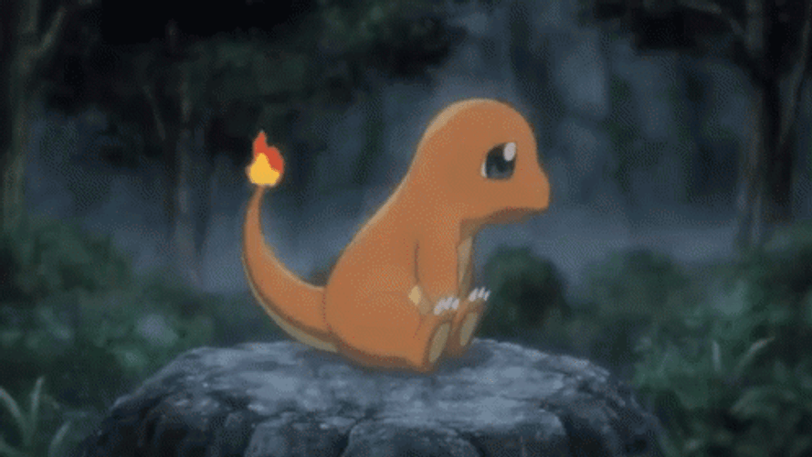 Pokemon Charmander In The Rain GIF
