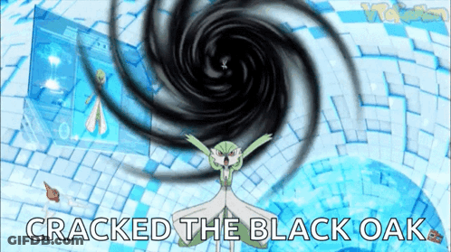 Pokemon Cracked The Black Oak GIF