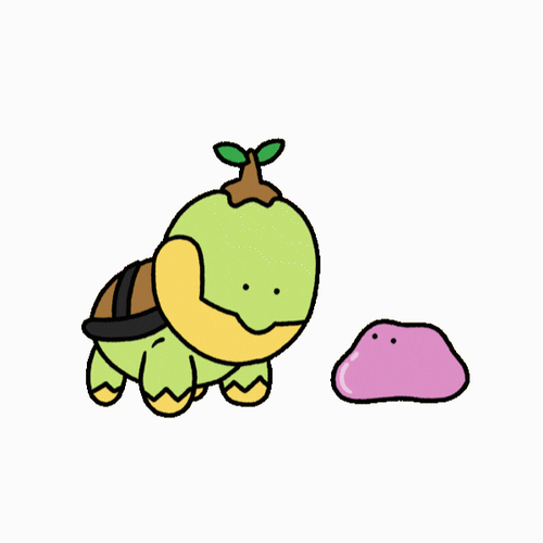 Pokemon Funny Anime Cute Turtwig Stare GIF