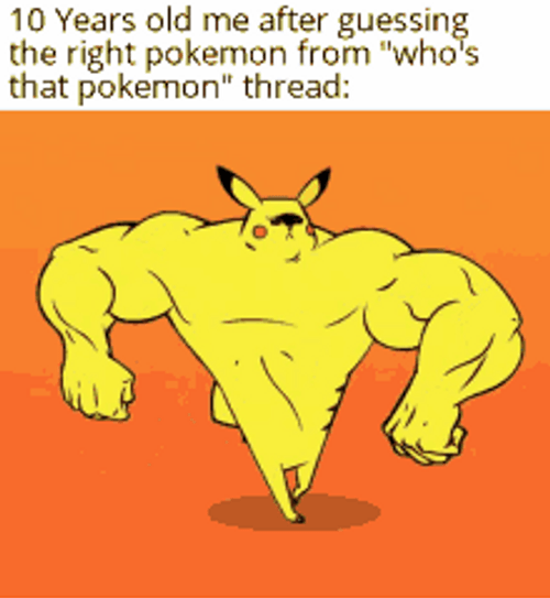 Pokemon Funny Anime Pikachu Who's That Pokemon Meme GIF