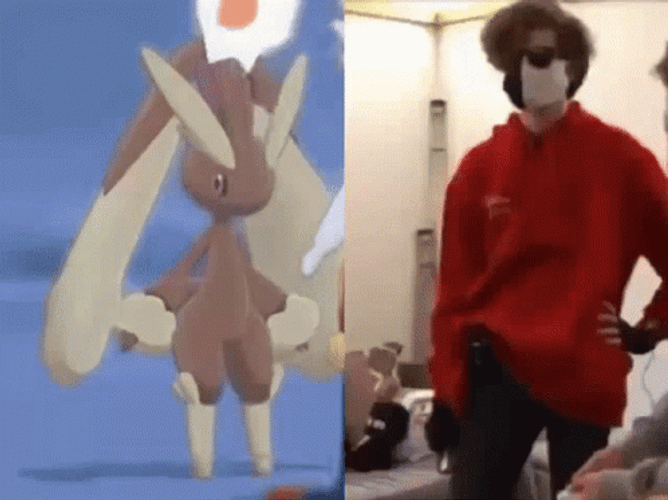 Pokemon Lopunny Lookalike  Meme GIF