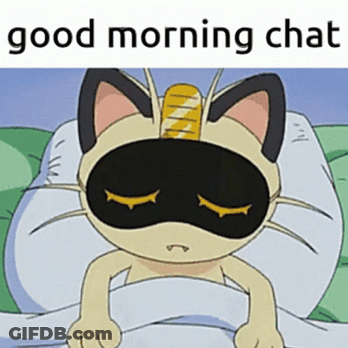 Pokemon Meowth  Good Morning Cartoon GIF