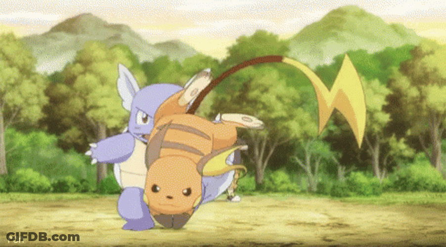 Pokemon Raichu And Wartortle GIF