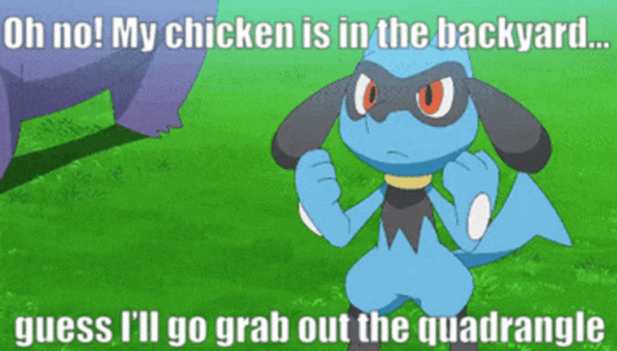 Pokemon Riolu Chicken In Backyard Meme GIF