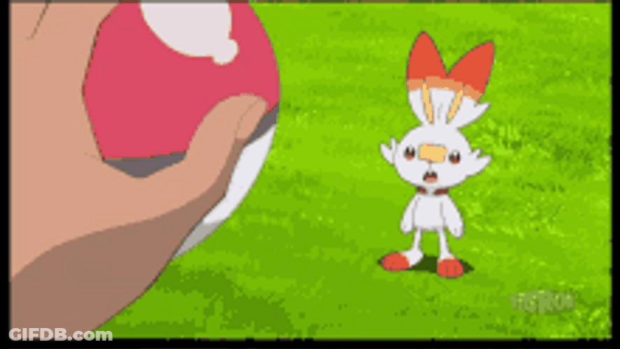 Pokemon Scorbunny Catch Cute Rabbit GIF