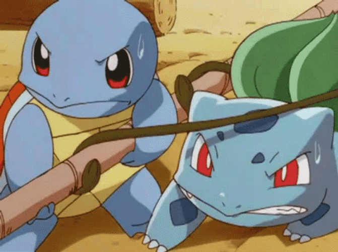 Pokemon Squirtle And Bulbasaur Teamwork GIF