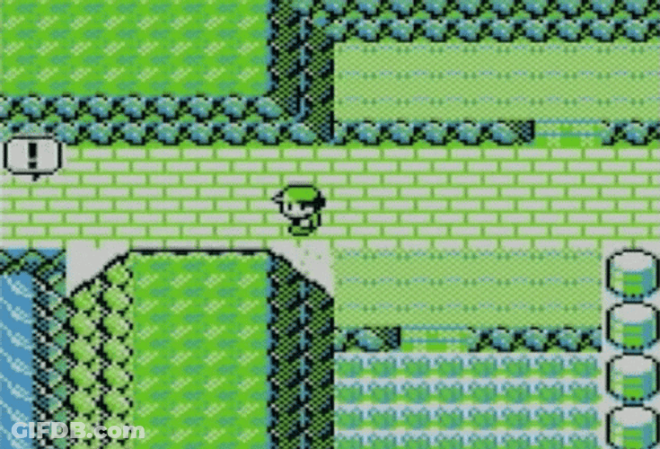 Pokemon Video Game GIF