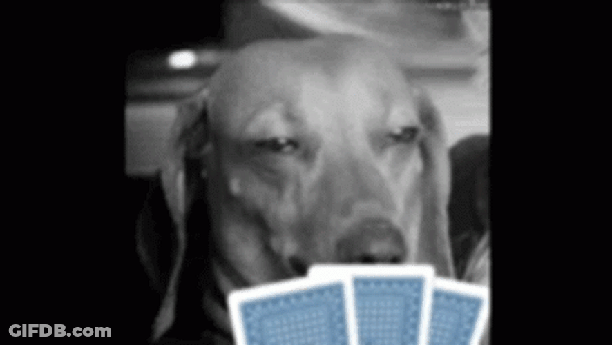 Poker GIF