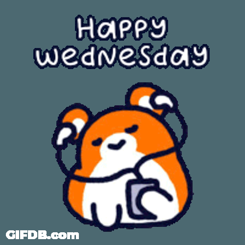Poki Hamster Sticker GIF
