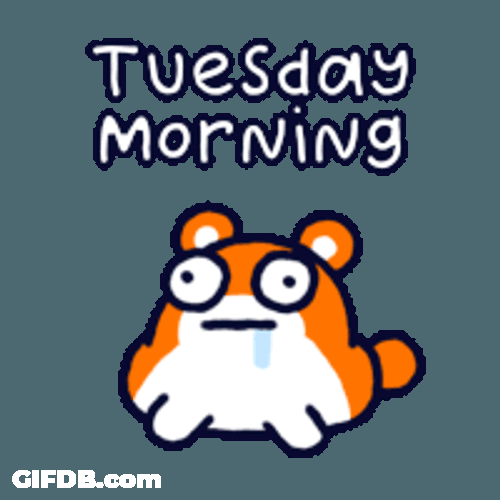 Poki Hamster Sticker GIF