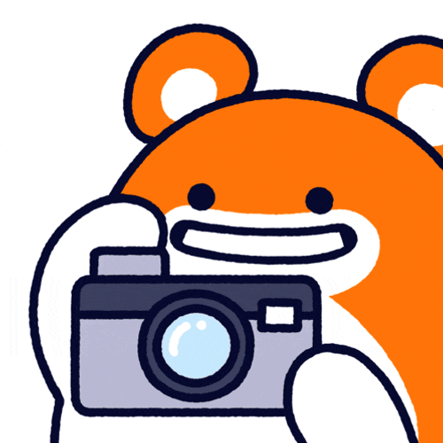 Poki Pokithehamster GIF