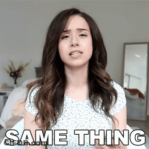 Pokimane Talking About Same Thing GIF