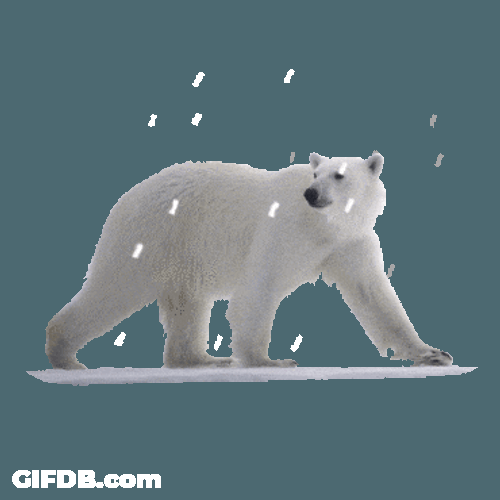 Polar Bear Against Heavy Snow GIF