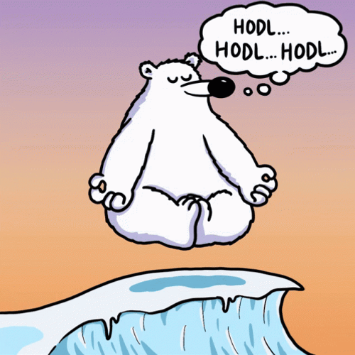 Polar Bear Floating Hodl GIF