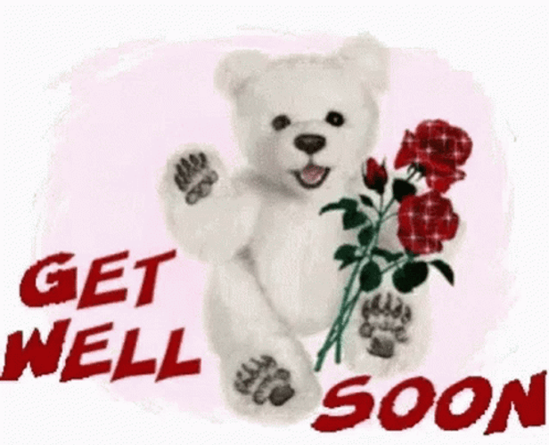 Polar Bear Get Well Soon GIF