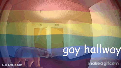 Polar Bear In Hallway Saying Gay Hallway GIF