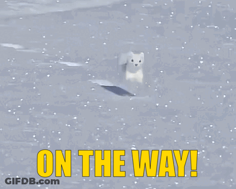 Polar Bear In Snow Saying On The Way GIF