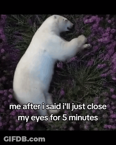 Polar Bear Laying In Purple Flowers Me After I Said I'll Just Close My Eyes GIF