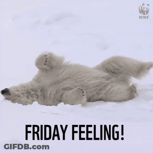 Polar Bear Laying In Snow Friday Feeling GIF