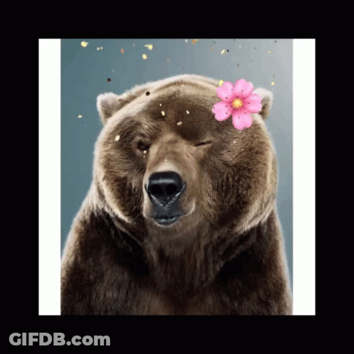 Polar Bear Laying On Back In Snow With Smiley Face Saying To GIF