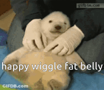Polar Bear Puppy Held By Person Saying Happy Wiggle Fat Belly GIF