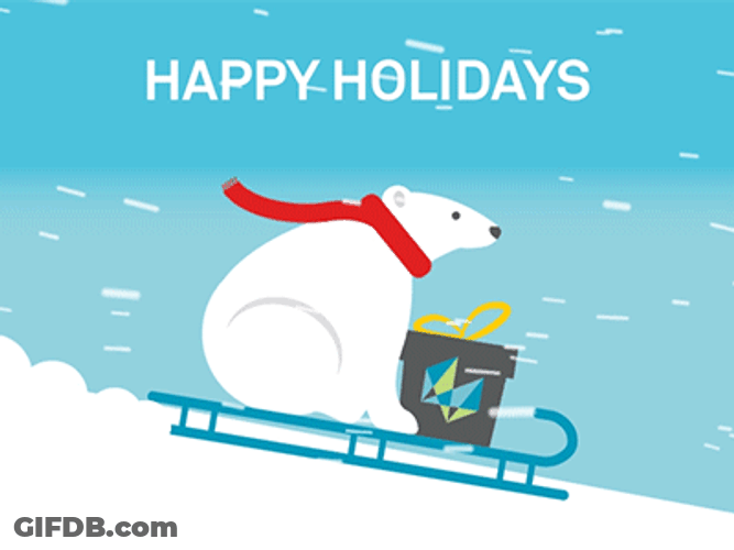 Polar Bear Riding A Sleigh GIF
