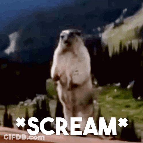 Polar Bear Scream GIF