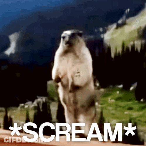 Polar Bear Screaming GIF