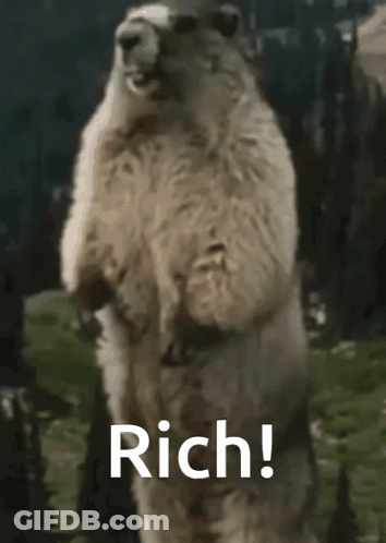 Polar Bear Standing On Hind Legs Saying Rich GIF