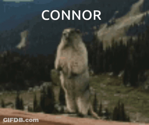 Polar Bear Standing With Connor Name GIF