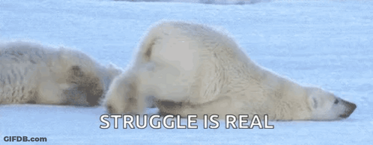 Polar Bear Struggle Walking GIF