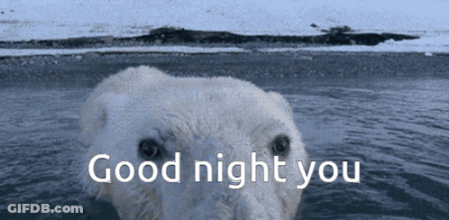 Polar Bear Swimming Saying Good Night You GIF